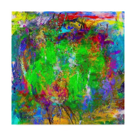Ata Alishahi 'Color Explosion Oc' Canvas Art,18x18